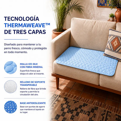 Protege a tu perro del sobrecalentamiento con ThermaPaw™
