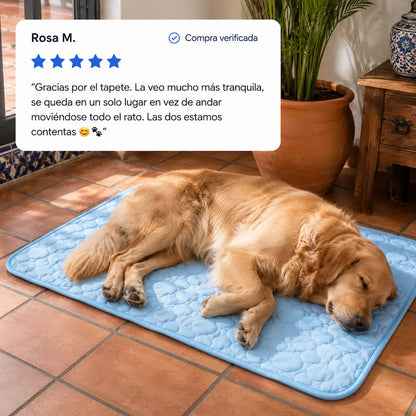 Protege a tu perro del sobrecalentamiento con ThermaPaw™