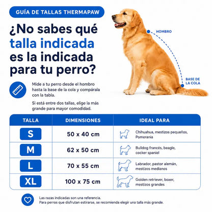 Protege a tu perro del sobrecalentamiento con ThermaPaw™