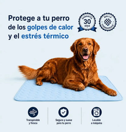 Protege a tu perro del sobrecalentamiento con ThermaPaw™